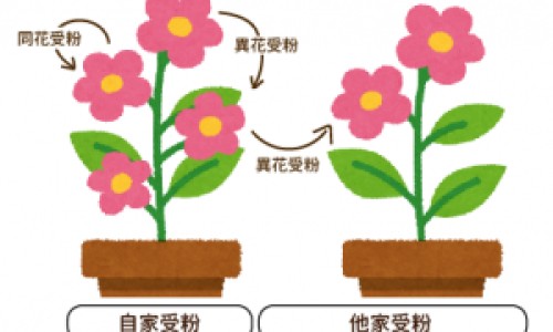 四川光大抗病毒颗粒多少钱一盒网 | 四川光大制药有限公司抗病毒颗粒,抗病毒颗粒四川光大制药