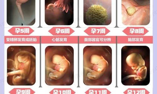 四川光大抗病毒颗粒多少钱一盒网 | 四川光大制药有限公司抗病毒颗粒,抗病毒颗粒四川光大制药